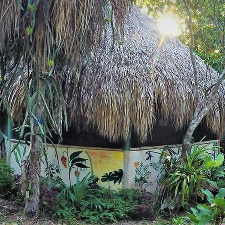 Hotel La Casa De Los Ninos Del Arbol Bacalar Exteriér fotografie
